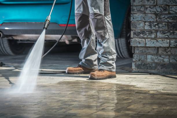 Best Gutter Cleaning  in Elk Rapids, MI