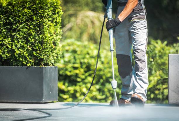 Best Spring Cleaning  in Elk Rapids, MI