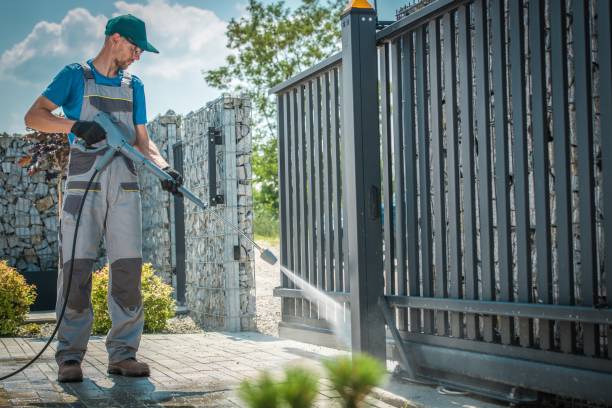 Best Roof Washing  in Elk Rapids, MI