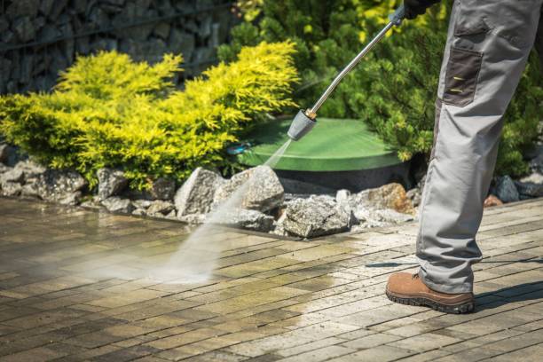 Best Animal Enclosure Cleaning  in Elk Rapids, MI