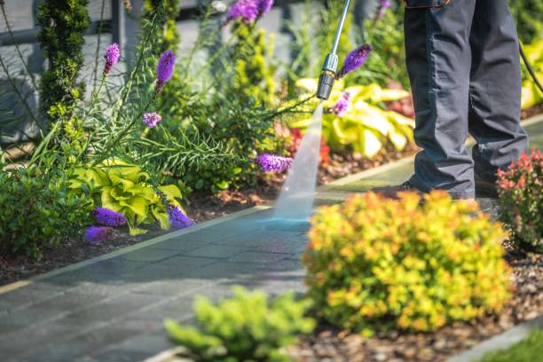 Elk Rapids, MI  Pressure Washing Services Company