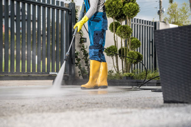 Best Fence Cleaning  in Elk Rapids, MI